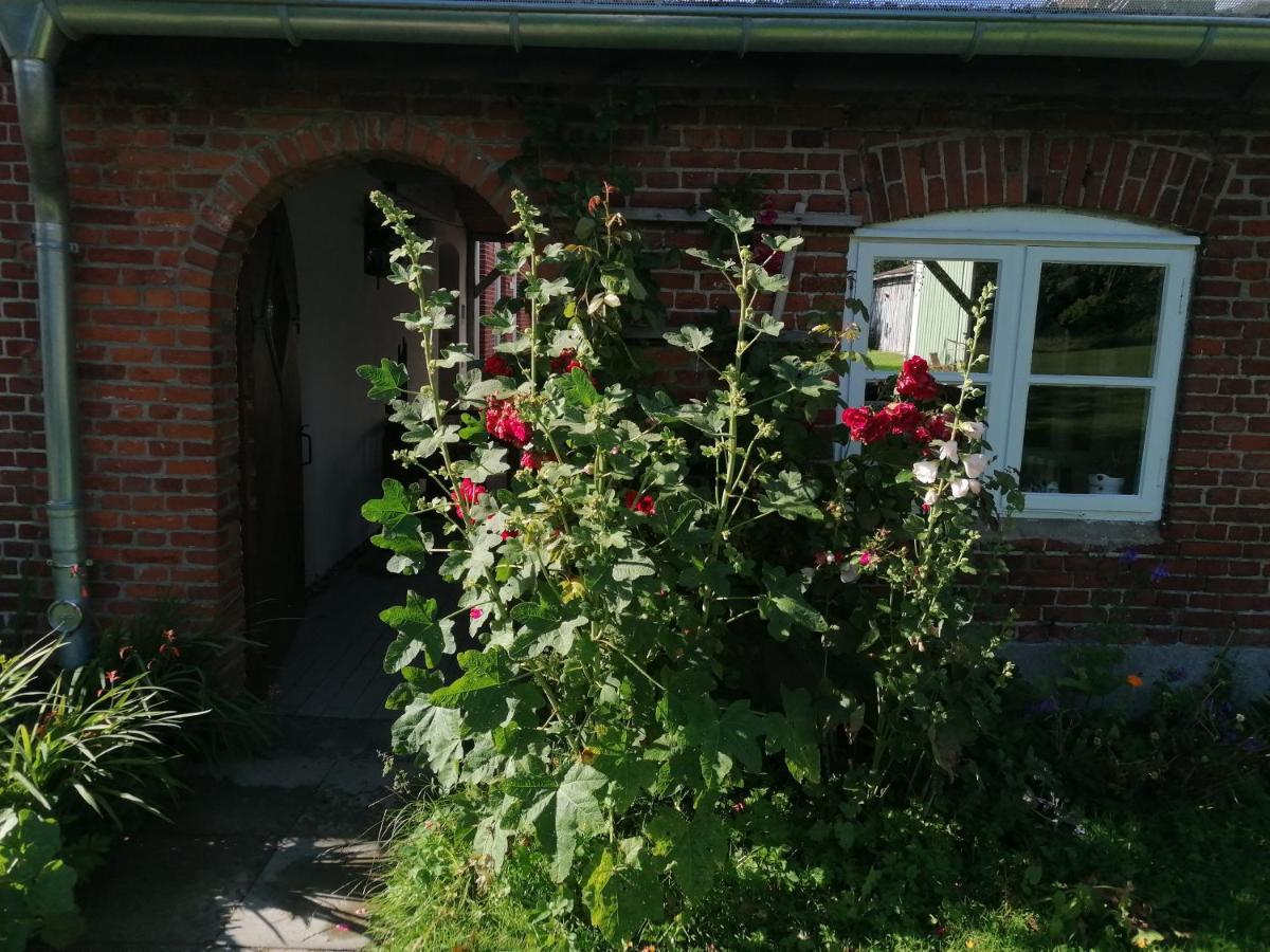Fw Achterdeck, 1 Obergeschoss, Petershof-lehbek Apartment *